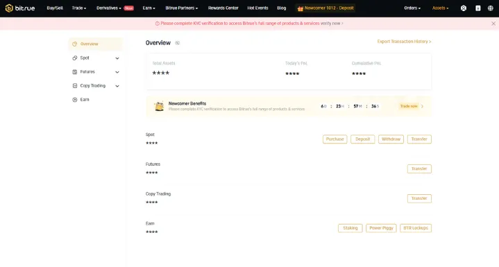 Bitrue Exchange Profile (1)