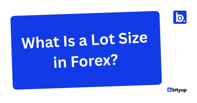 What Is a Lot Size in Forex