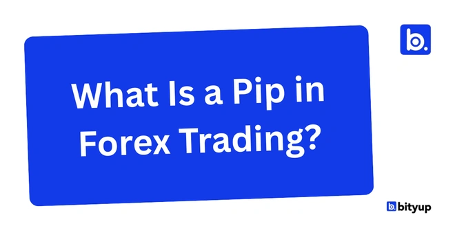What Is a Pip in Forex Trading